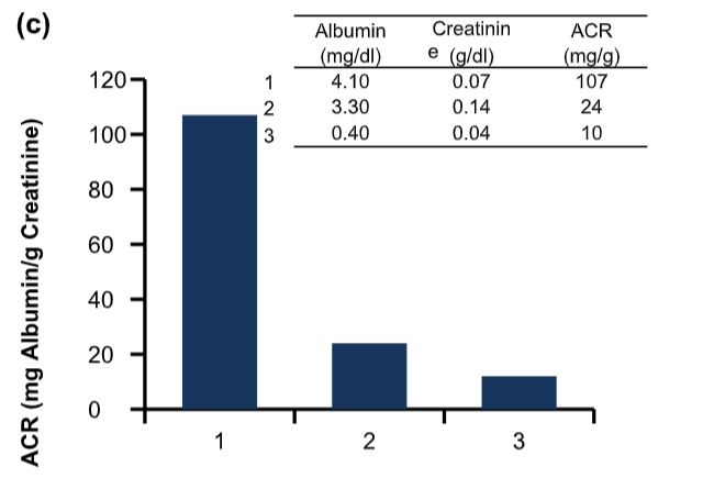 Albumin-to-Creatinine Ratio (ACR) (BN00781) (BN00781) - AssayGenie