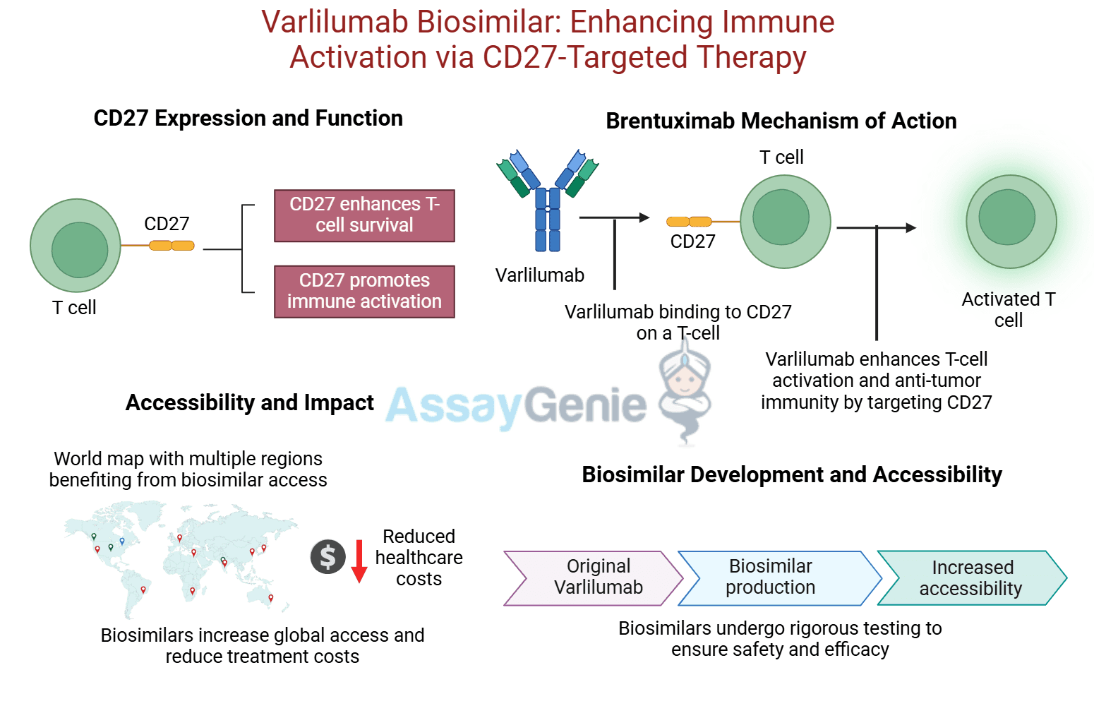 Varlilumab: Unlocking CD27’s Potential in Cancer Research