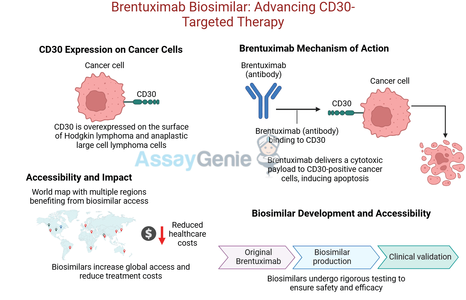 Brentuximab: Unveiling the Role of Anti-CD30 in Cancer Research