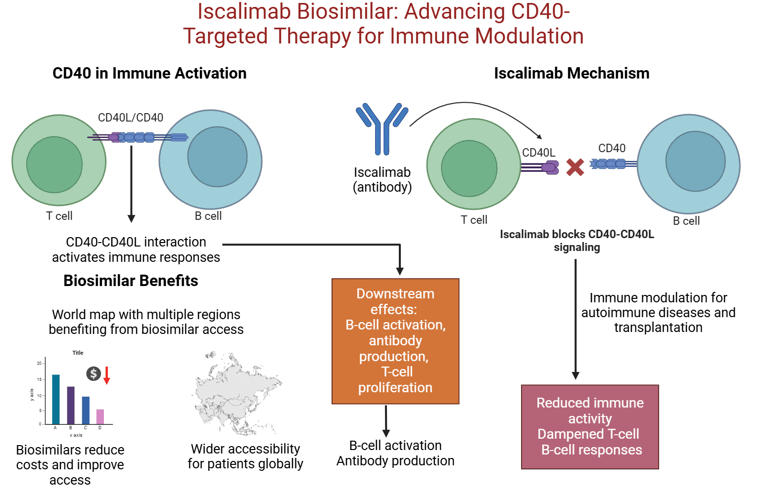 Iscalimab: Advancing Research in Autoimmune Diseases and Transplantation