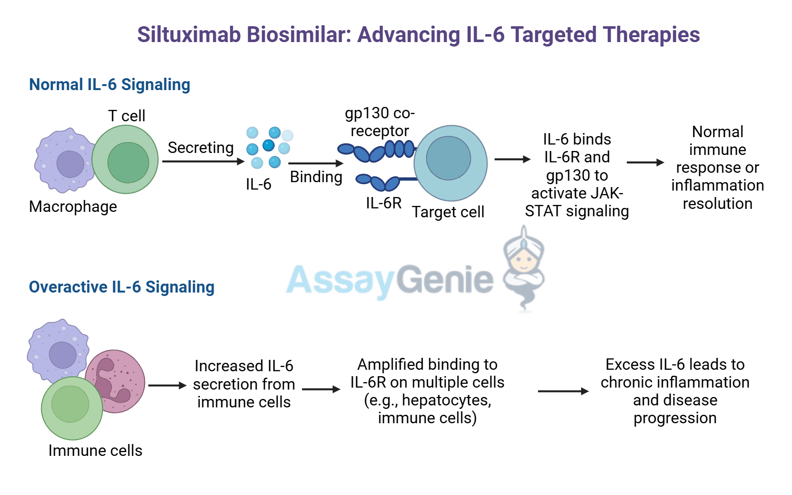 Siltuximab: Exploring IL-6 Inhibition in Castleman’s Disease and Research